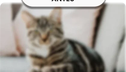 Visão sem prescrição óptica