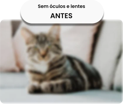 Simulação clínica: visão sem correção óptica, desfoque e fadiga ocular Visão sem correção óptica (Sem Óculos) - Desfoque e fadiga