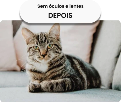 Simulação clínica: visão com correção óptica precisa e conforto visual Visão com correção óptica precisa (Com Óculos) - Nitidez e conforto